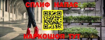 эйфоретик Обь