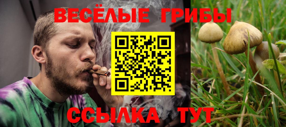 Галлюциногенные грибы мицелий Серов