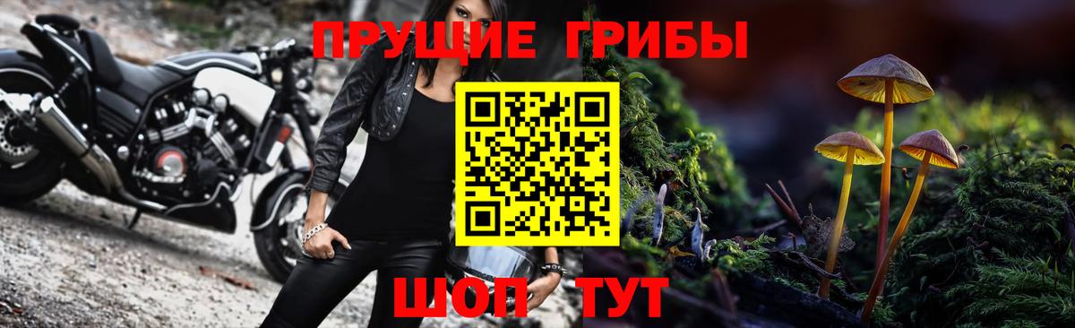 Серов  Псилоцибиновые грибы MAGIC MUSHROOMS  Вход с VPN  Галлюциногенные грибы Psilocybe 